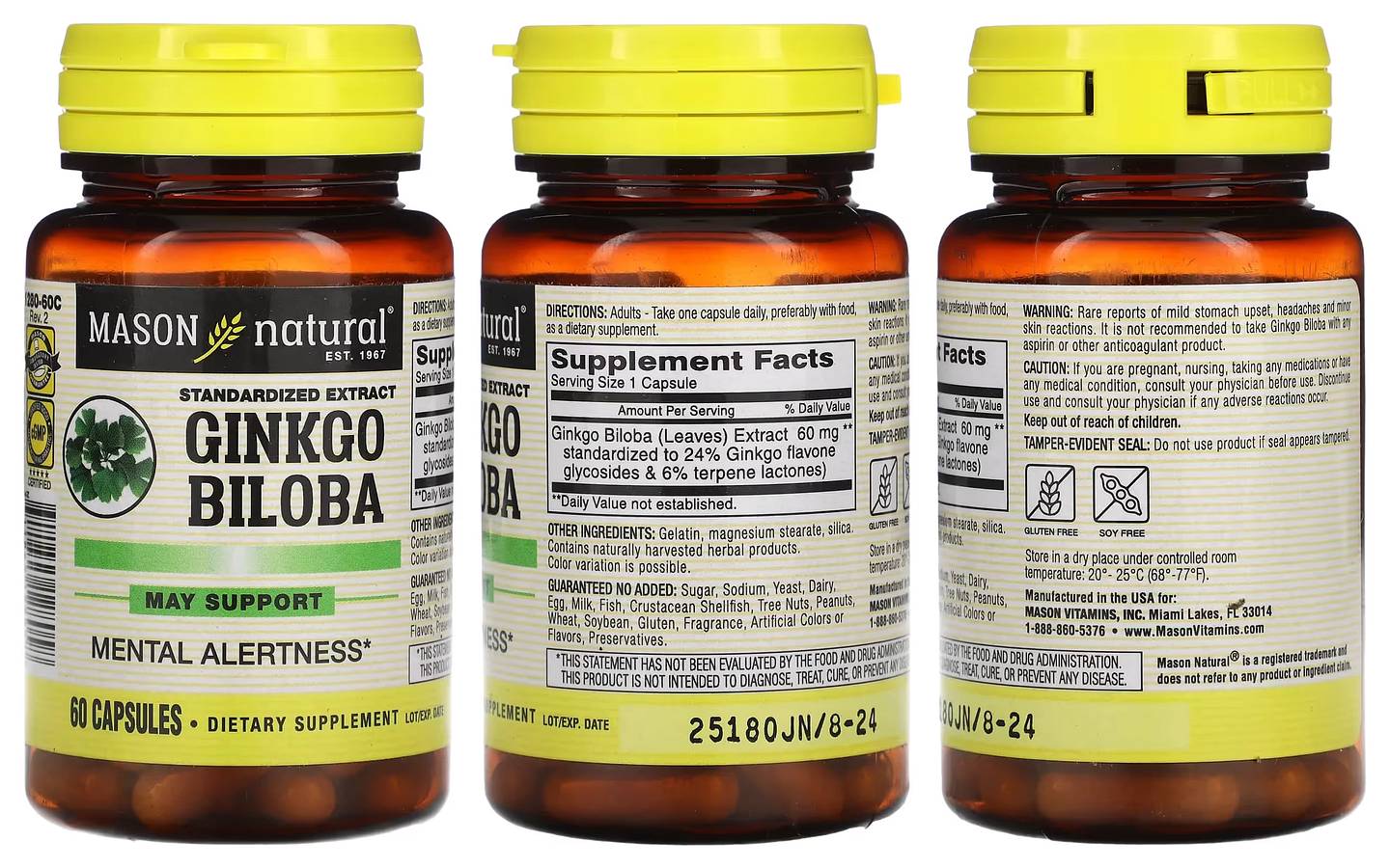 Mason Natural, Ginkgo Biloba packaging