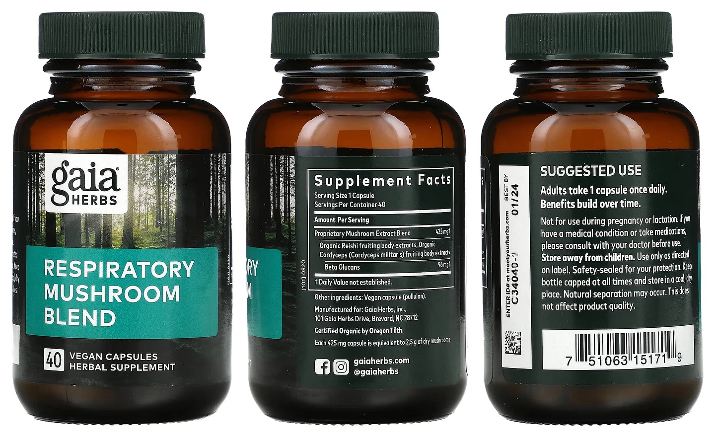 Gaia Herbs, Respiratory Mushroom Blend packaging