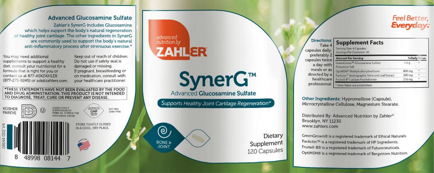 Zahler, SynerG label